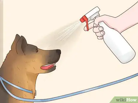 Image titled Get a Dog to Stop Eating Dirt Step 12