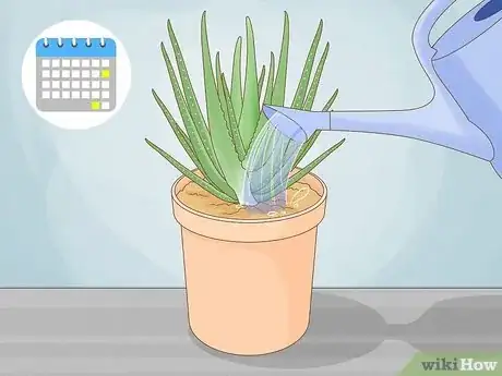 Image titled Care for Your Aloe Vera Plant Step 2