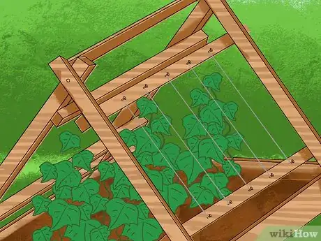 Image titled Trellis Cucumbers Step 19