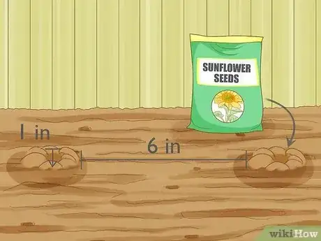 Image titled Plant Sunflower Seeds Step 9