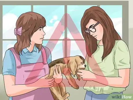 Image titled Get Your Dog to Be Nice to Strangers Step 9
