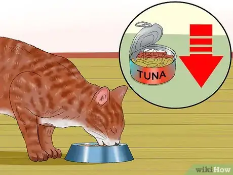 Image titled Cook for Cats Step 8