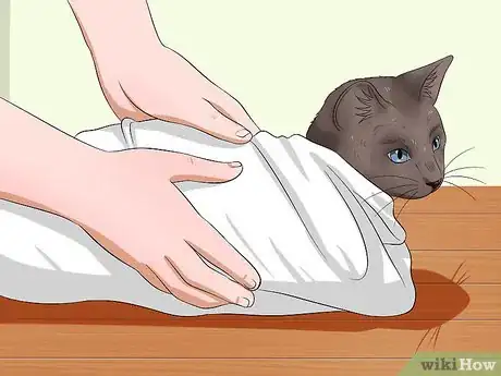 Image titled Give a Cat Medicine Step 9