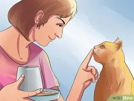 Image titled Prepare Your Cat for Surgery Step 7