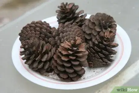 Image titled Make Scented Pine Cones Step 8