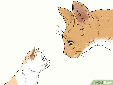 Image titled Stop an Older Cat from Attacking a Kitten Step 9