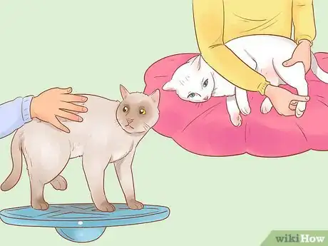 Image titled Help a Cat That Is Dragging Its Rear Legs Step 5