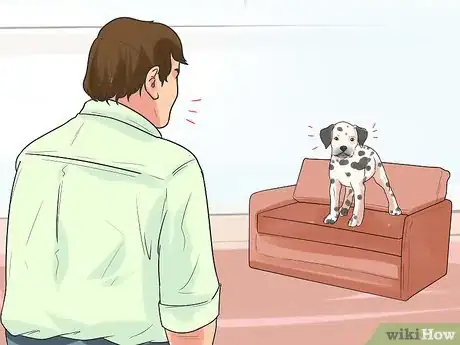 Image titled Train Dalmatians Step 1