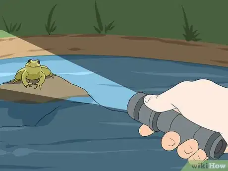 Image titled Catch a Frog Step 13