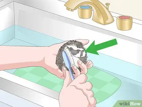 Image titled Bathe a Pet Hedgehog Step 6