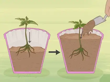 Image titled Make Pot Liners for Plants Step 6