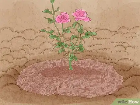 Image titled Grow Roses Step 9