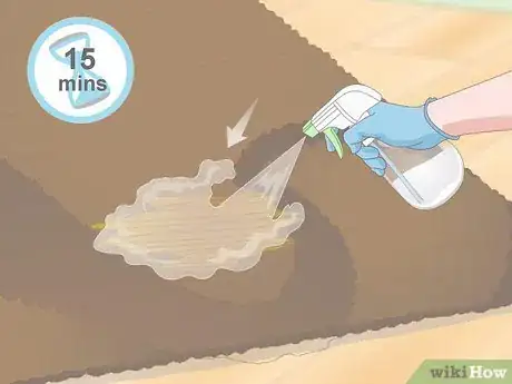 Image titled Get Dog Urine Smell out of Carpets Step 2