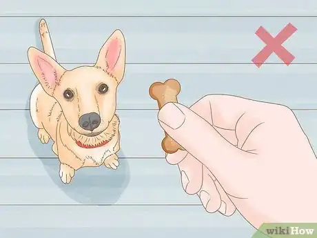 Image titled Get Your Dog to Lose 10 Pounds Step 7