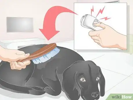 Image titled Groom a Difficult Dog Step 10