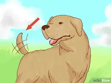 Image titled Befriend Dogs Step 1