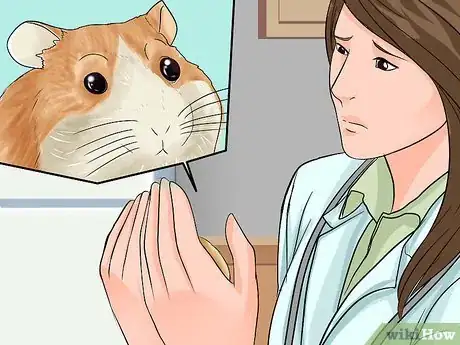 Image titled Determine if Your Hamster Is Blind Step 7