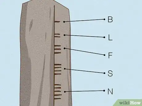 Image titled Read Ogham Stones Step 6