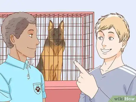 Image titled Identify a German Shepherd Step 7