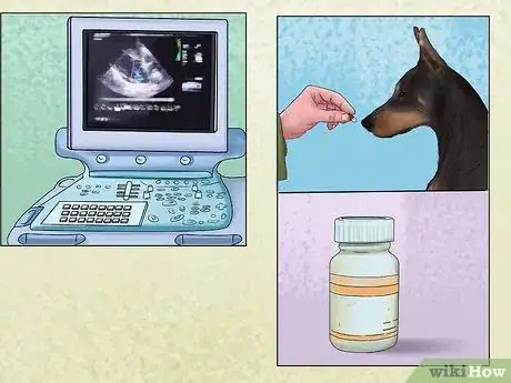 Image titled Diagnose Heart Conditions in Doberman Pinschers Step 5