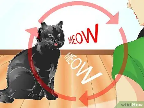 Image titled Teach Your Cat to Talk Step 7