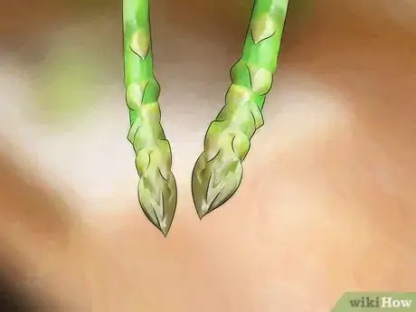 Image titled Choose Asparagus Step 5