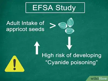 Image titled Eat Apricot Seeds Step 1