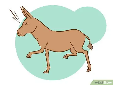 Image titled Ride a Donkey Step 2