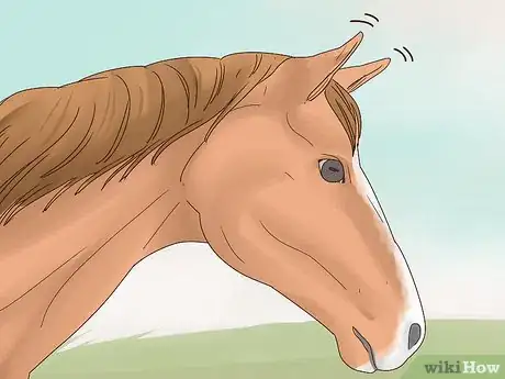 Image titled Talk to Your Horse Step 13