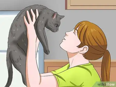 Image titled Hug a Cat Step 10