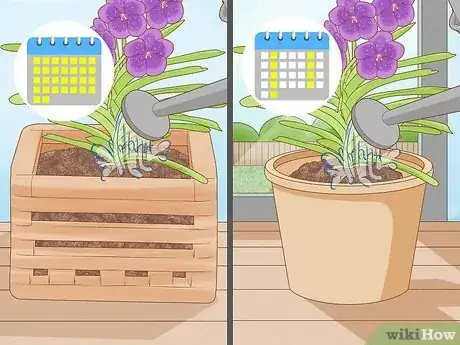 Image titled Grow Vanda Orchids Step 12