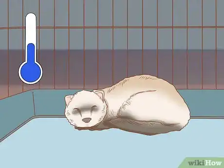 Image titled Make Your Ferret Happy Step 14