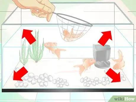 Image titled Keep Aquarium Water Clear Step 11