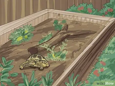 Image titled Care for a Tortoise Step 12