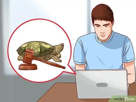 Image titled Catch Water Turtles Step 10