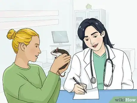 Image titled Care for a Rat That Had a Stroke Step 3