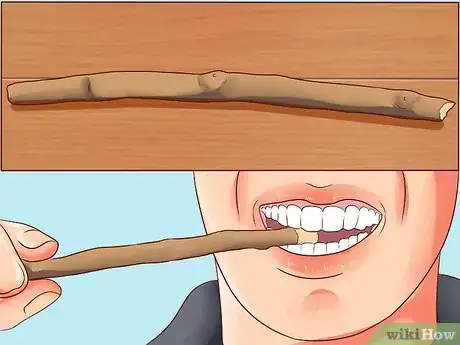 Image titled Use Miswak Step 1