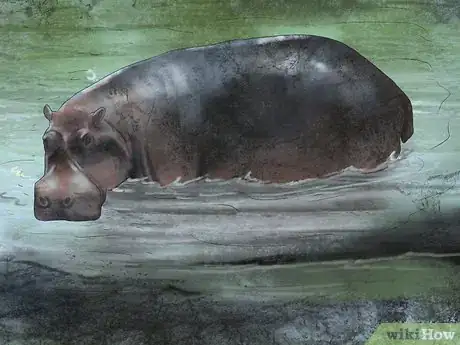 Image titled Deal With a Hippo Encounter Step 2