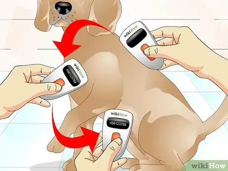 Image titled Tell if a Dog Is Microchipped Step 7