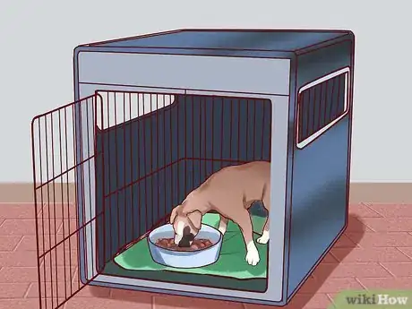 Image titled Train a Boxer Puppy Step 10