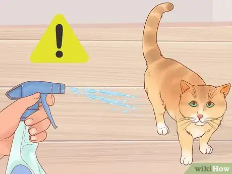 Image titled Prevent Cats from Eating Plants Step 4