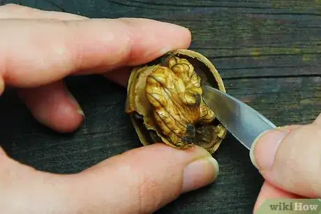 Image titled Hull Walnuts Step 13