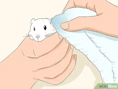 Image titled Clean a Smelly Mouse Step 4