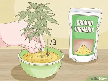 Image titled Clone a Marijuana Plant Without Rooting Hormone Step 7