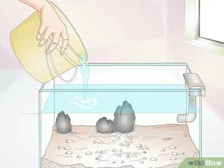 Image titled Set Up a Fish Tank for Plecostomus Catfish Step 7