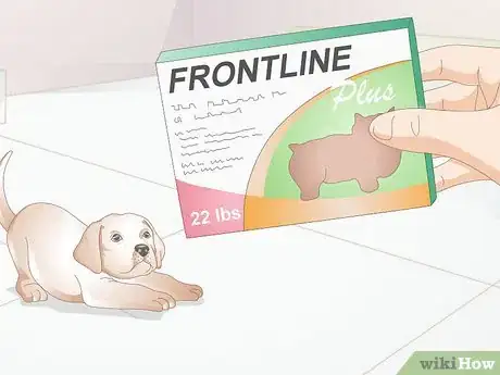 Image titled Determine the Proper Frontline Plus Dosage for Dogs Step 7