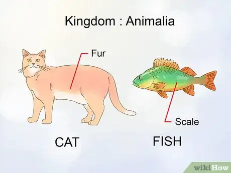 Image titled Classify Animals Step 4