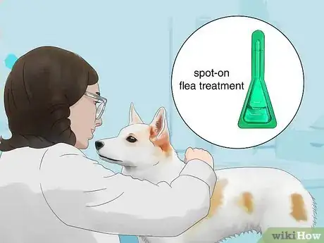 Image titled Get Rid of Fleas in the House Fast Step 10