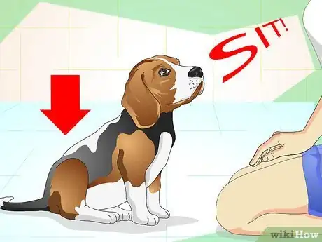 Image titled Keep Your Dog Calm Outside His Crate Step 13