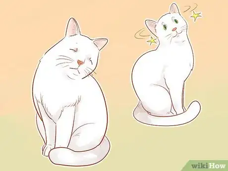 Image titled Know if Your Cat Is Sick Step 12